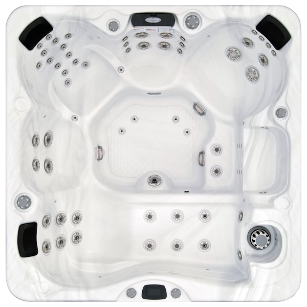 Avalon-X EC-867LX hot tubs for sale in Alameda